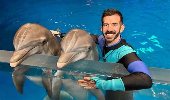 How much does a dolphin trainer make a day?