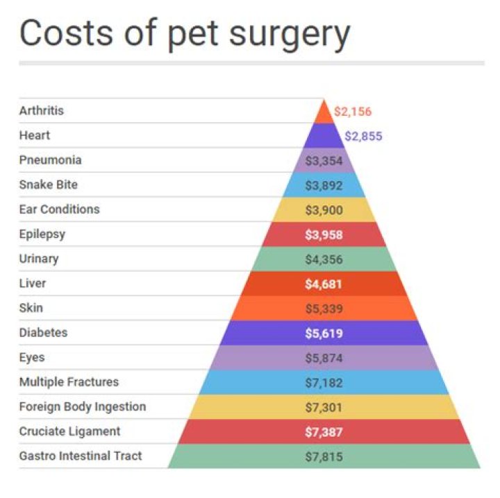How much does a vet make in Australia?