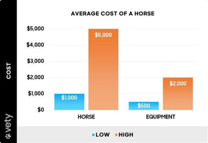 How much does horse trainer insurance cost?