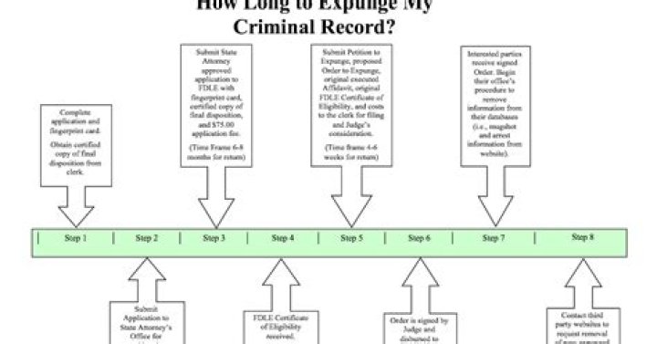 How much does it cost to expunge a misdemeanor in Florida?