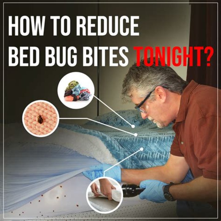 How much does it cost to get your house treated for bed bugs?