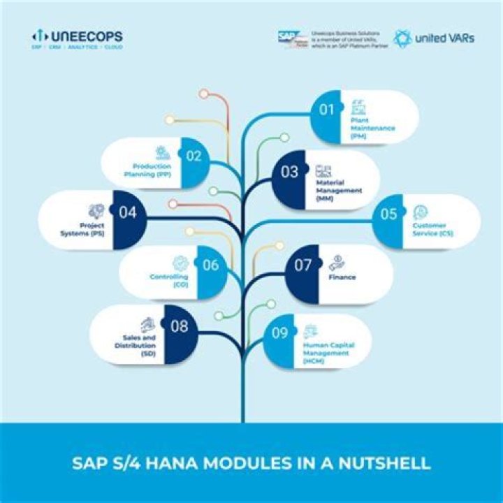 How much does it cost to implement SAP Business One?