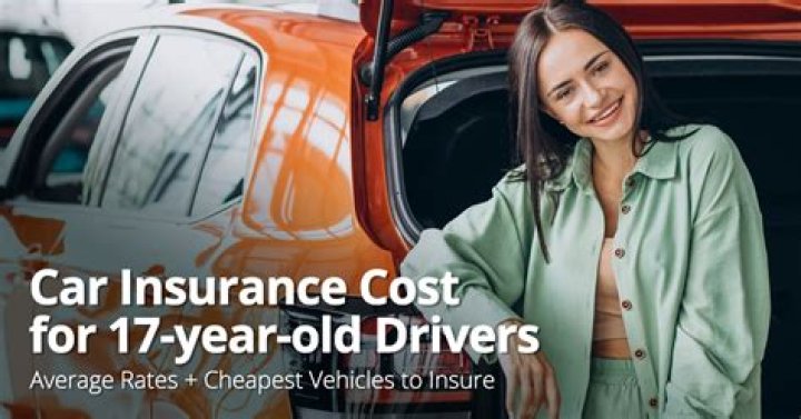 How much is car insurance for a 17 year old in Michigan?