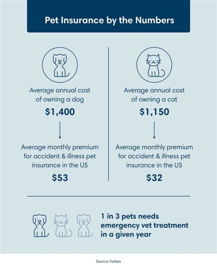 How much is pet insurance for cats UK?