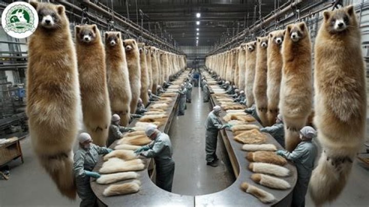 How much is the fur industry?