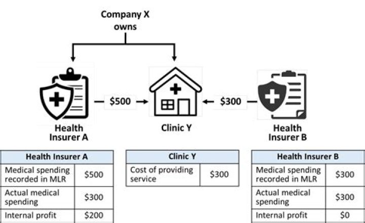 How much profit do health insurers make?