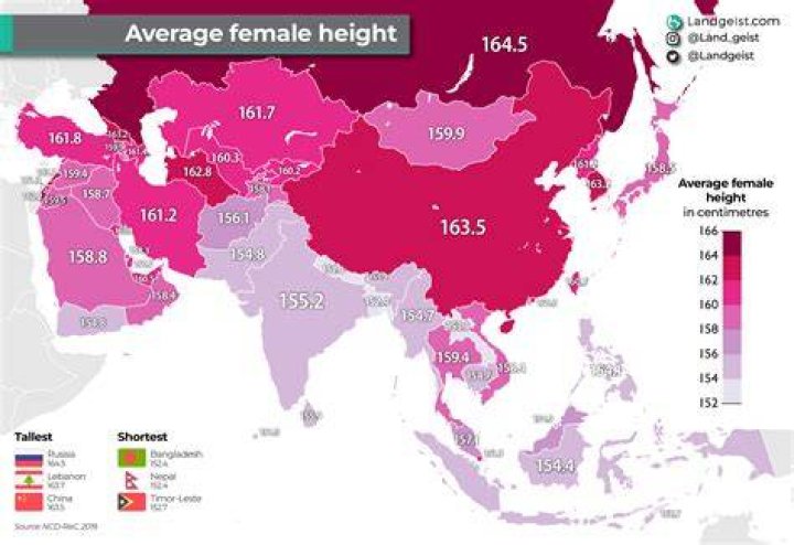 How old is the average Iranian?