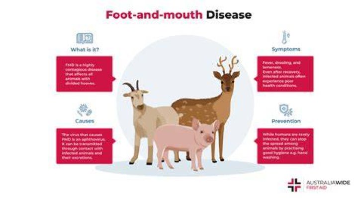 How would an outbreak of foot and mouth disease affect the US economy?