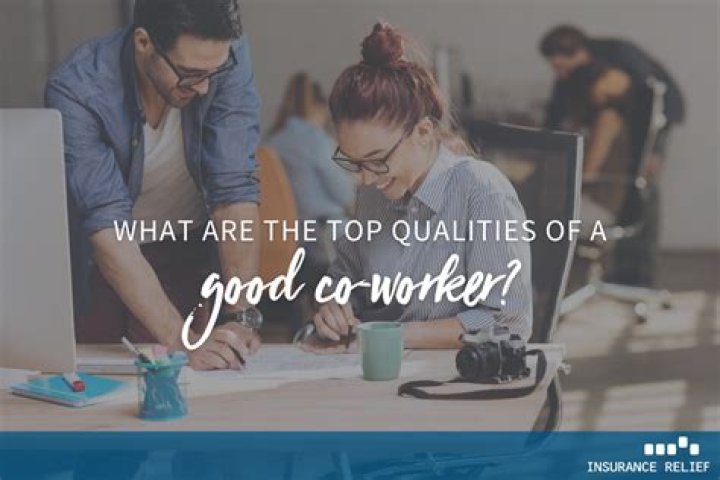 How would you describe a good co worker?
