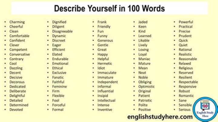 How would you describe yourself in 100 words?