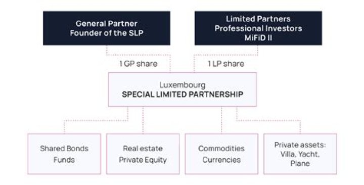 Is a family limited partnership an investment company?
