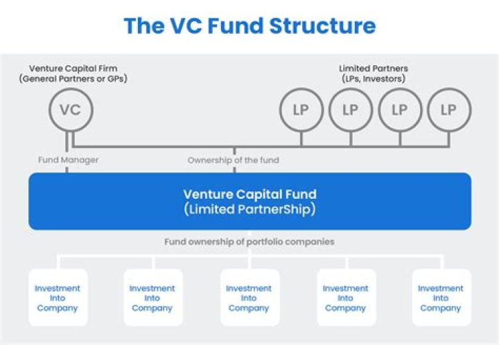 Is a VC an investment company?