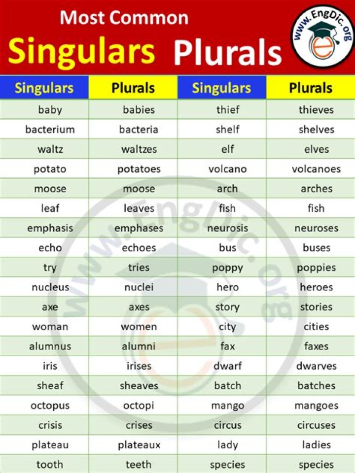 Is Alliance singular or plural?