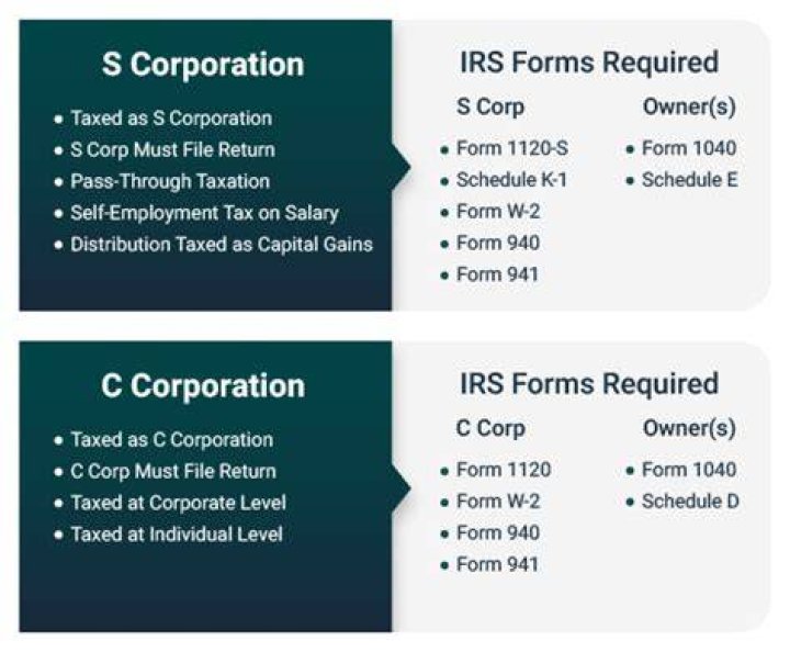 Is an S Corp shareholder an owner employee?