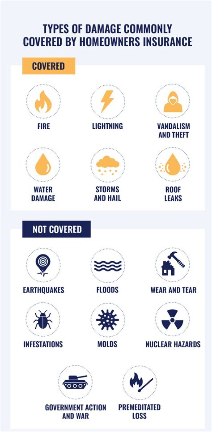 Is bee damage covered by homeowners insurance?