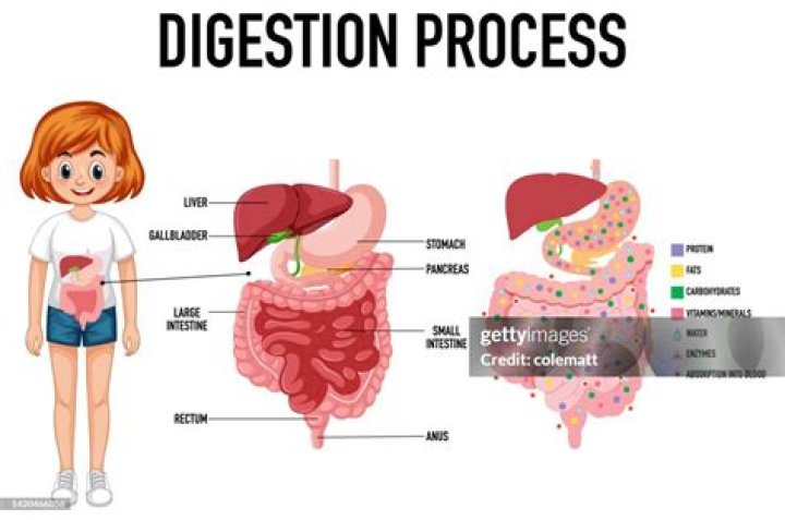 Is digesting gold good for you?