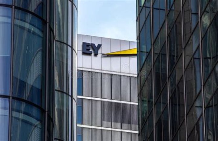 Is Ernst and Young a global company?