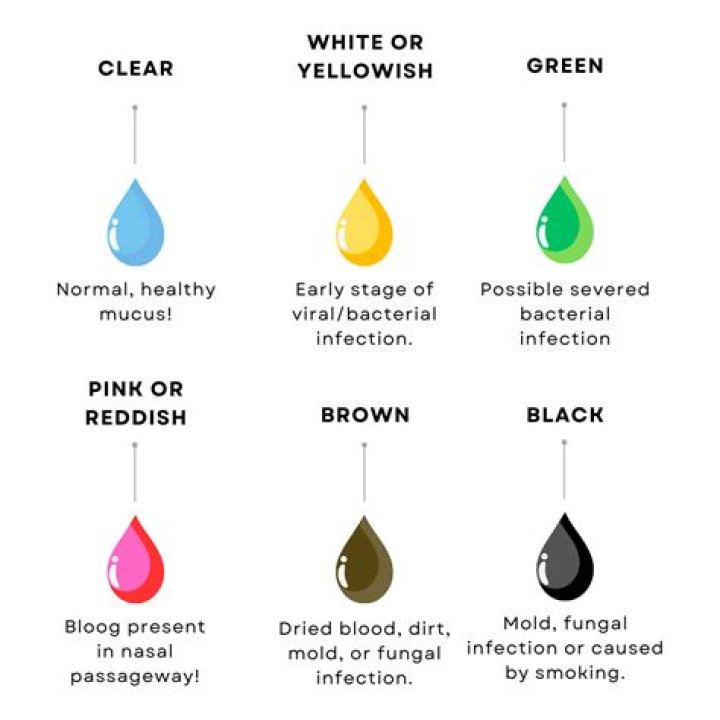 Is green slip the same as Rego?