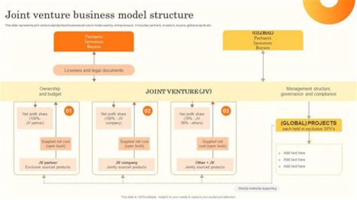 Is joint venture a business model?