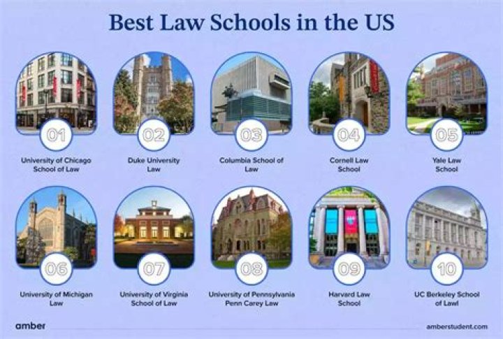 Is law school better than business?