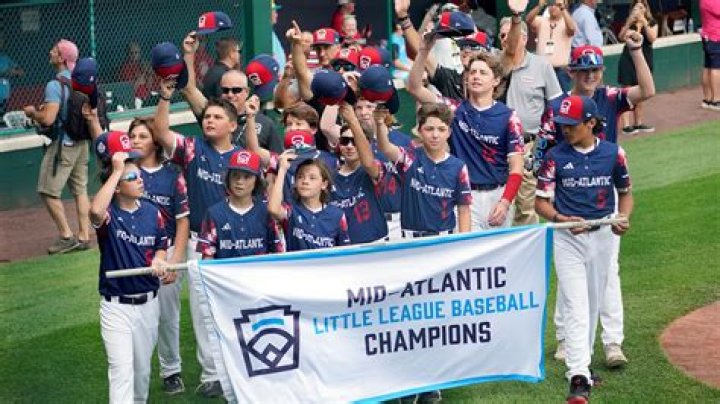 Is Little League baseball a non-profit?