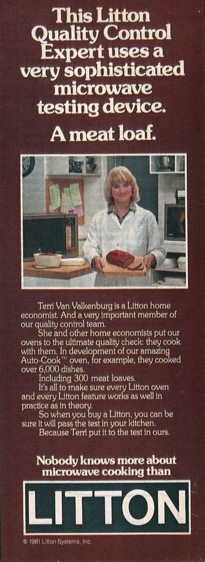 Is Litton Industries still in business?
