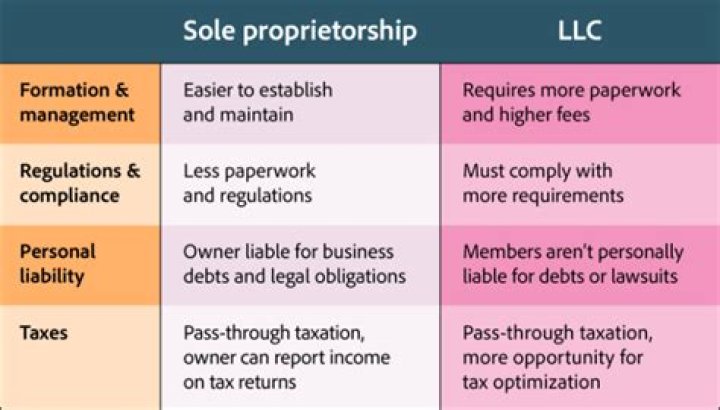 Is LLC sole ownership?