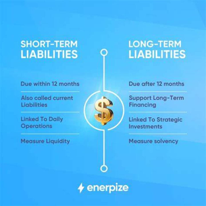 Is long term liabilities an asset?