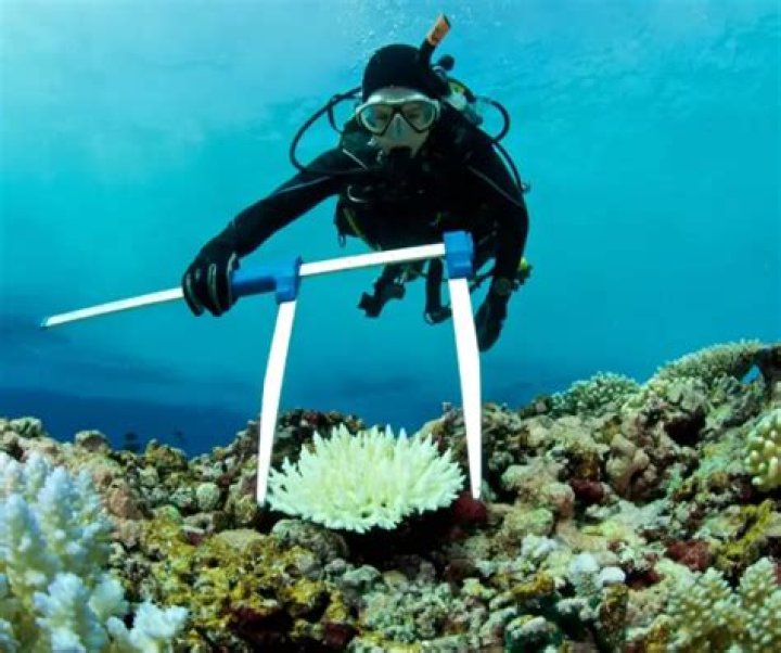 Is Marine Biology a bad field?