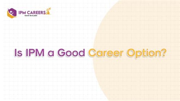 Is MLM a good career option?