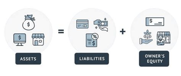 Is owner a capital asset or liability?