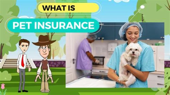 Is pet insurance a profitable business?