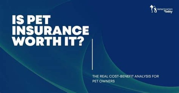 Is pet insurance worth it for a cat?