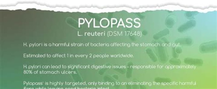 Is Pylopass effective?