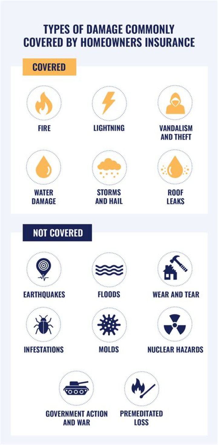 Is rat damage covered by house insurance?