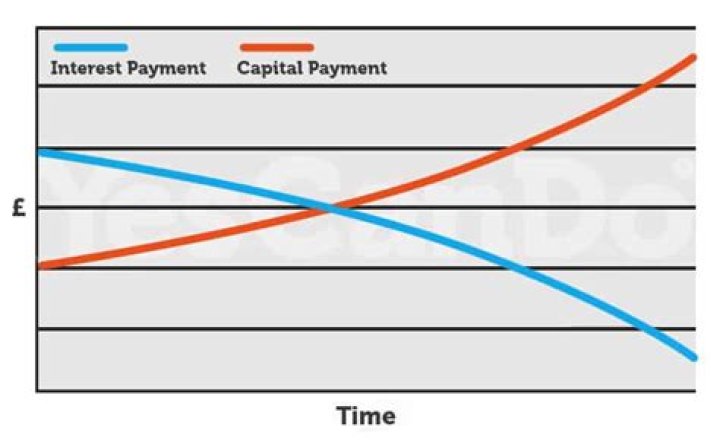 Is repayment of loan over a period of time?