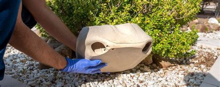 Is rodent damage covered by home insurance?