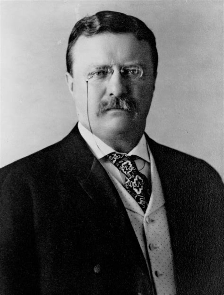 Is Teddy Roosevelt a progressive?