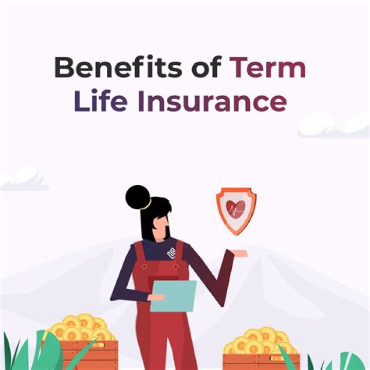 Is the any benefit of term life insurance?