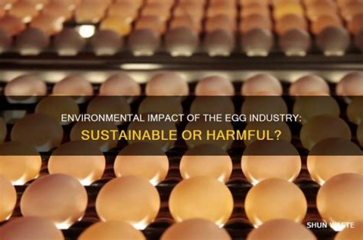Is the egg industry bad for the environment?
