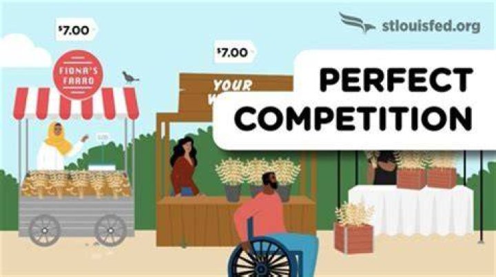 Is there a lack of competition in the US economy?