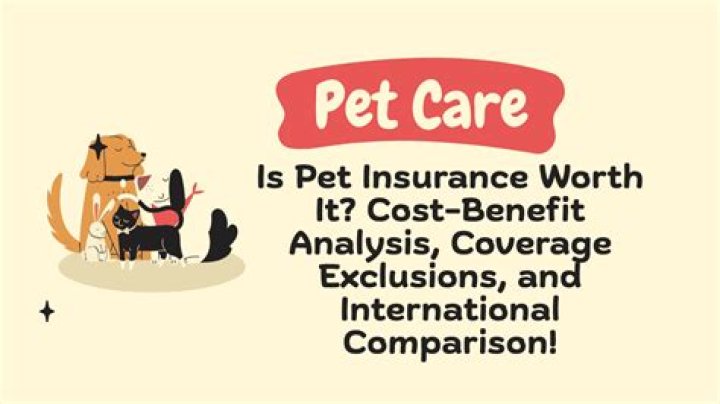 Is there an international pet insurance?