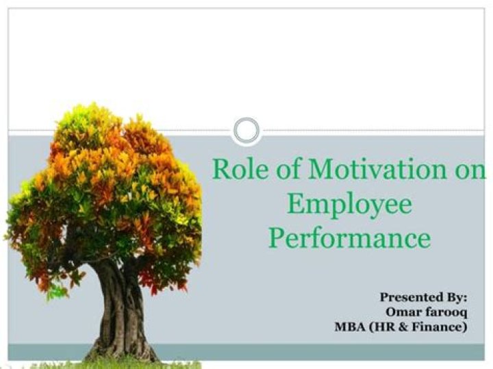 Is there any relationship between motivation and employee performance?