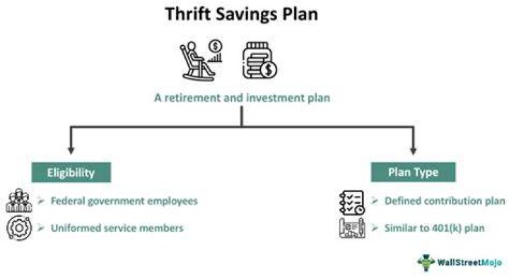 Is Thrift Savings Plan a government agency?