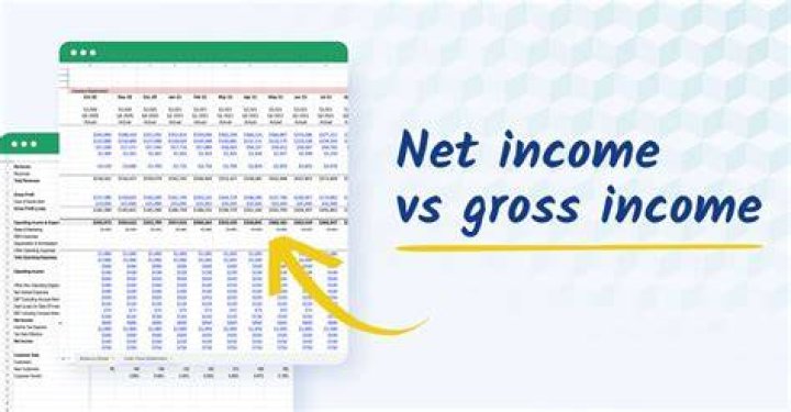 Is your gross income more than your net income?