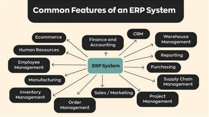 Should every business buy an ERP system?