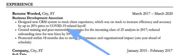 Should I mention I was fired on a job application?