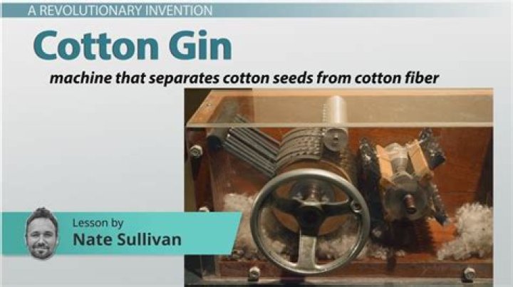 Was the cotton gin profitable?
