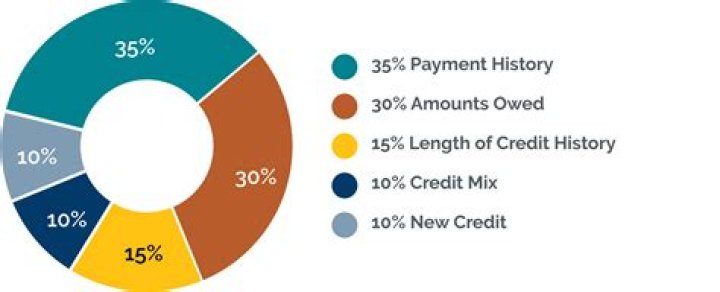 What 2 things do lenders check in your credit history?