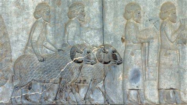What animals did the Mesopotamians tame?
